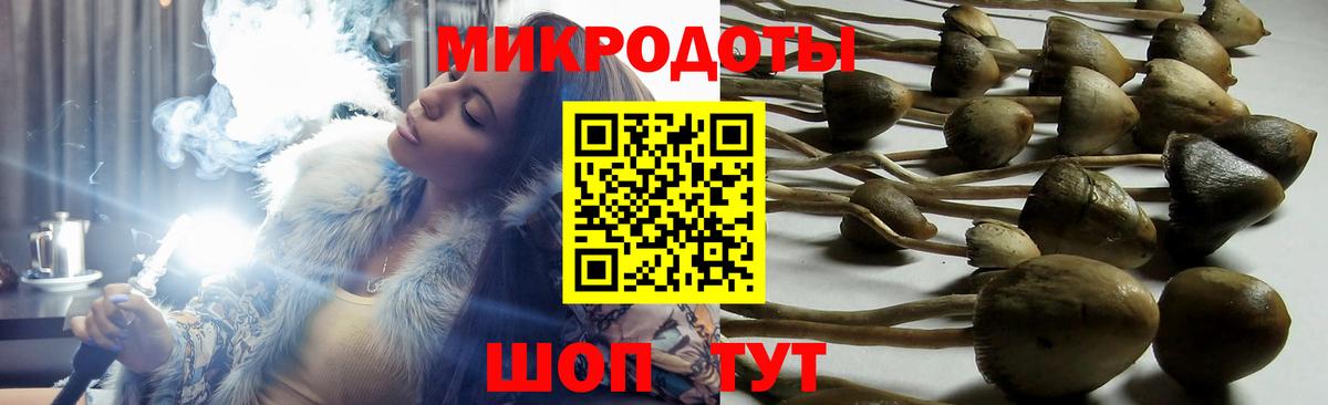 купить наркотик  Вход с VPN  Дедовск  Псилоцибиновые грибы Cubensis 